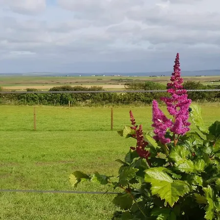 Lilly'S Lodges Orkney Butterfly Lodge Finstown Exterior photo