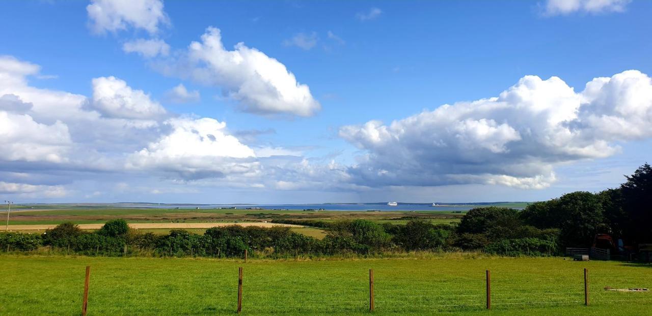 Lilly's Orkney Butterfly Lodge *