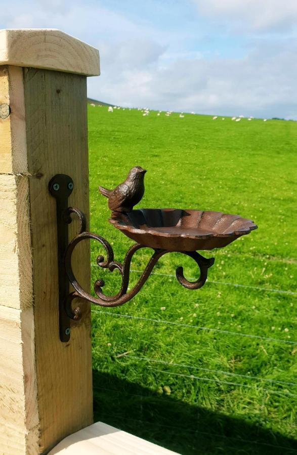 Lilly's Orkney Butterfly Lodge *
