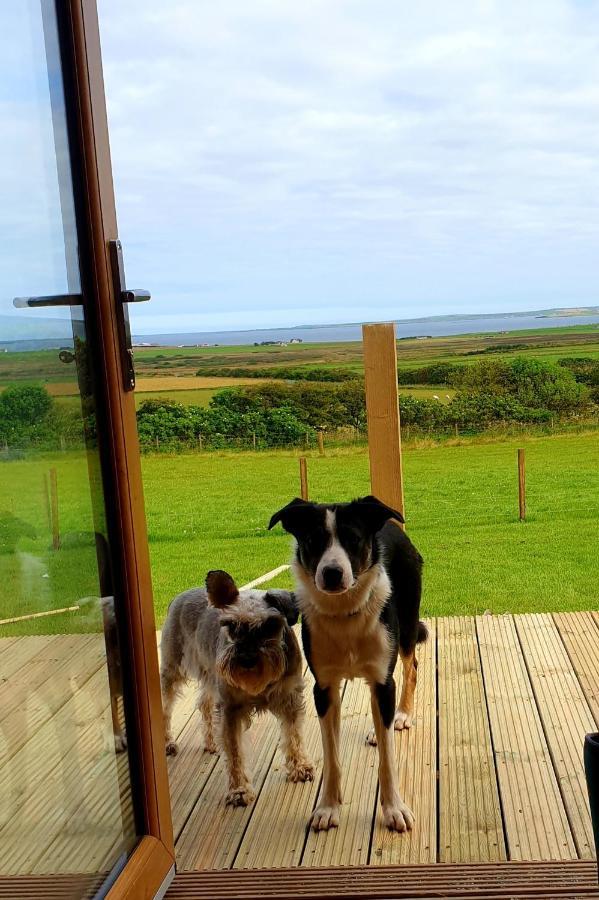 Lilly's Orkney Butterfly Lodge Finstown